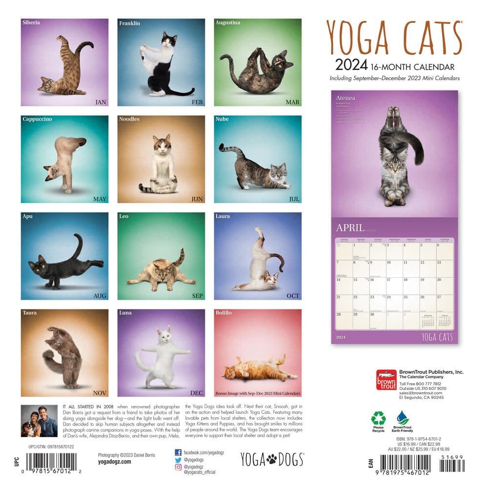 Yoga Cats 2024 Wall Calendar First Alternate Image width=&quot;1000&quot; height=&quot;1000&quot;