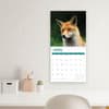 image Foxes 2024 Wall Calendar Sixth Alternate Image width=&quot;1000&quot; height=&quot;1000&quot;