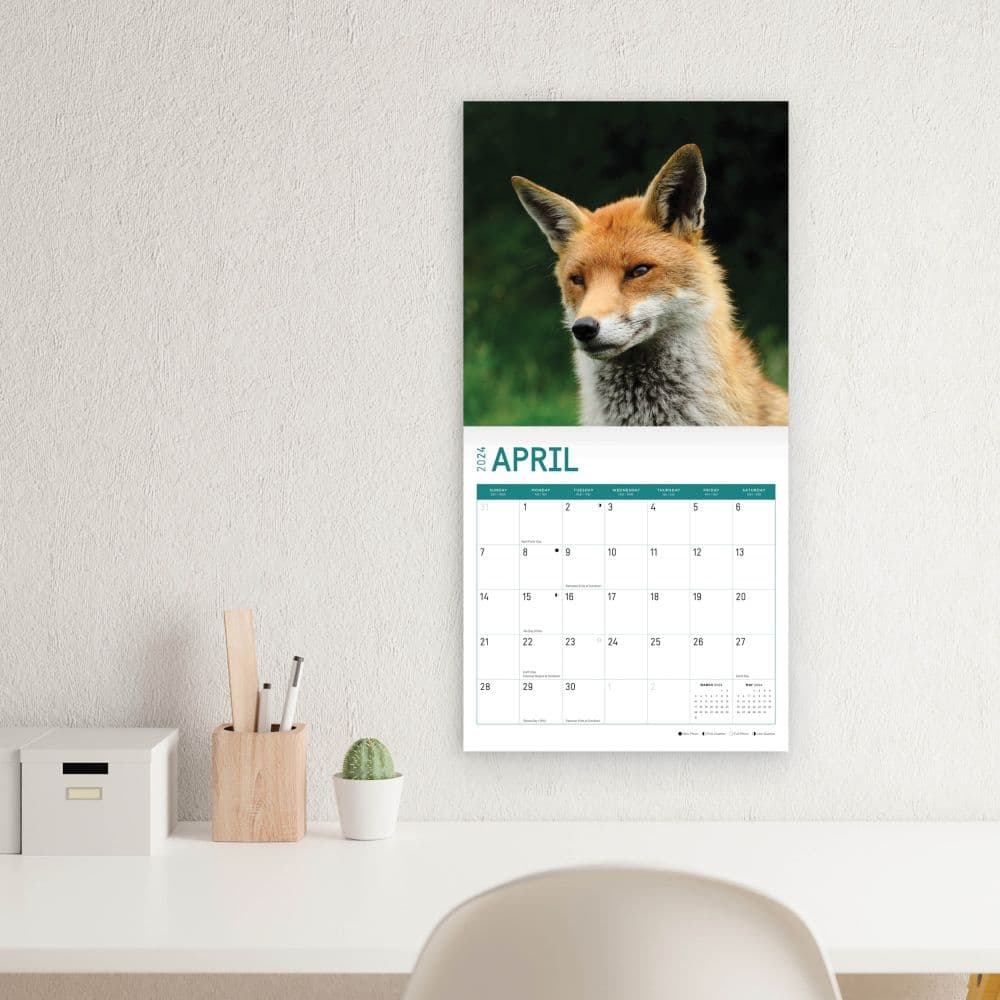 Foxes 2024 Wall Calendar Sixth Alternate Image width=&quot;1000&quot; height=&quot;1000&quot;
