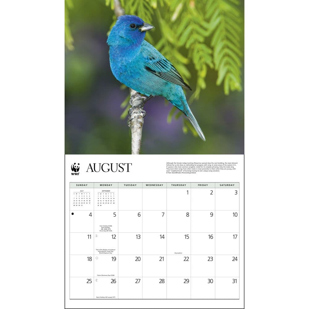 Songbirds WWF 2024 Wall Calendar