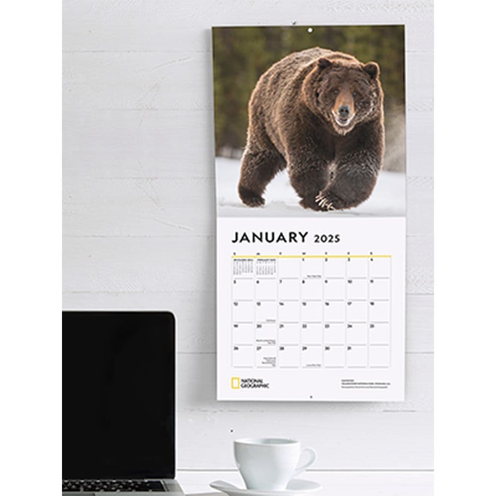 Apex Predators 2025 Wall Calendar Fourth Alternate Image width=&quot;1000&quot; height=&quot;1000&quot;