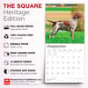 image German Shorthaired Pointers 2027 Wall Calendar Fifth Alternate Image