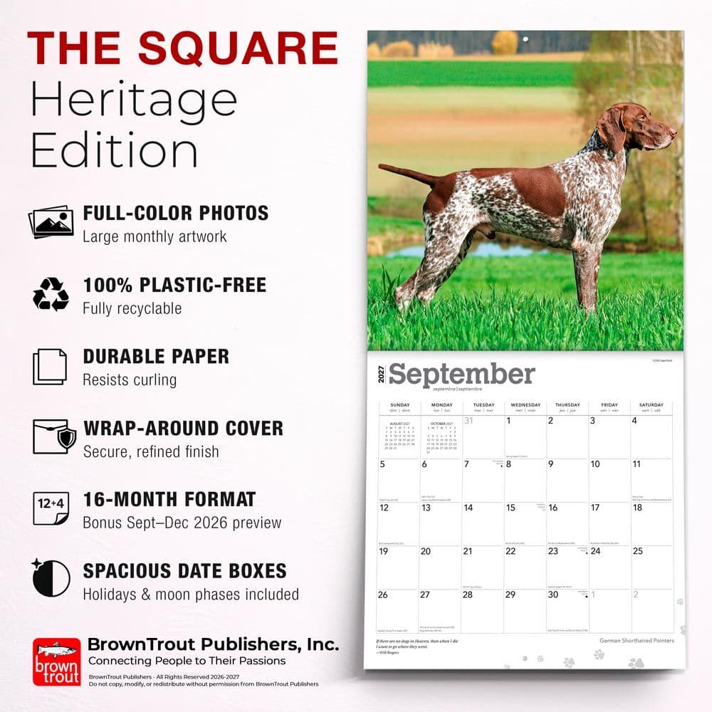 German Shorthaired Pointers 2027 Wall Calendar Fifth Alternate Image