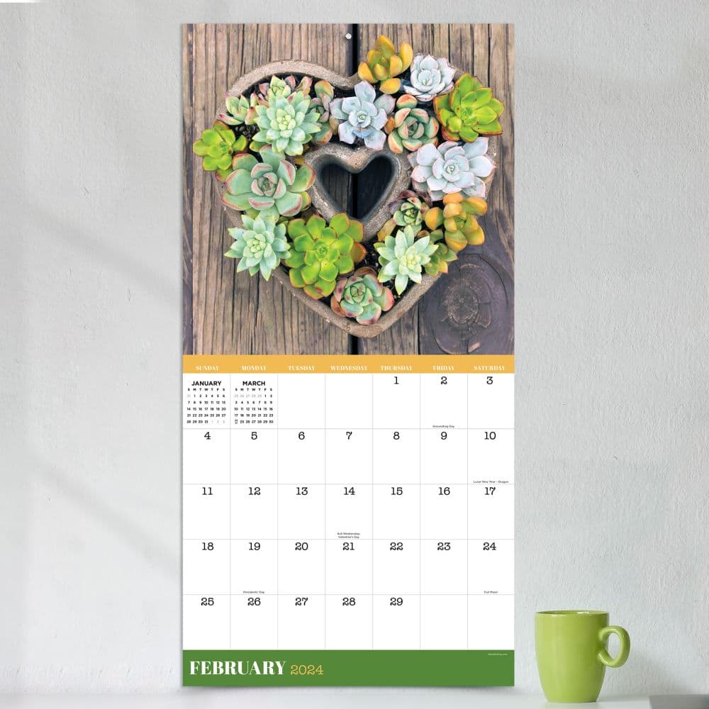 Succulents 2025 Wall Calendar