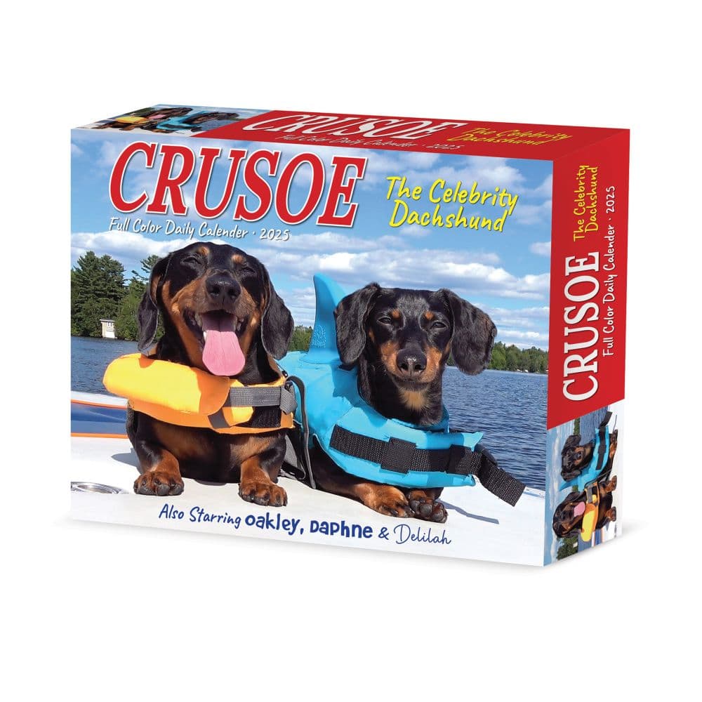 Crusoe the Celebrity Dachshund 2025 Desk Calendar Main Product Image