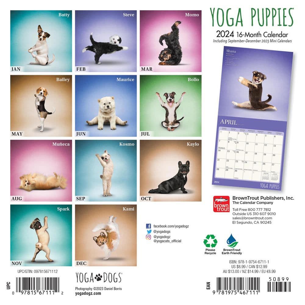 Yoga Puppies 2024 Mini Wall Calendar First Alternate Image width=&quot;1000&quot; height=&quot;1000&quot;