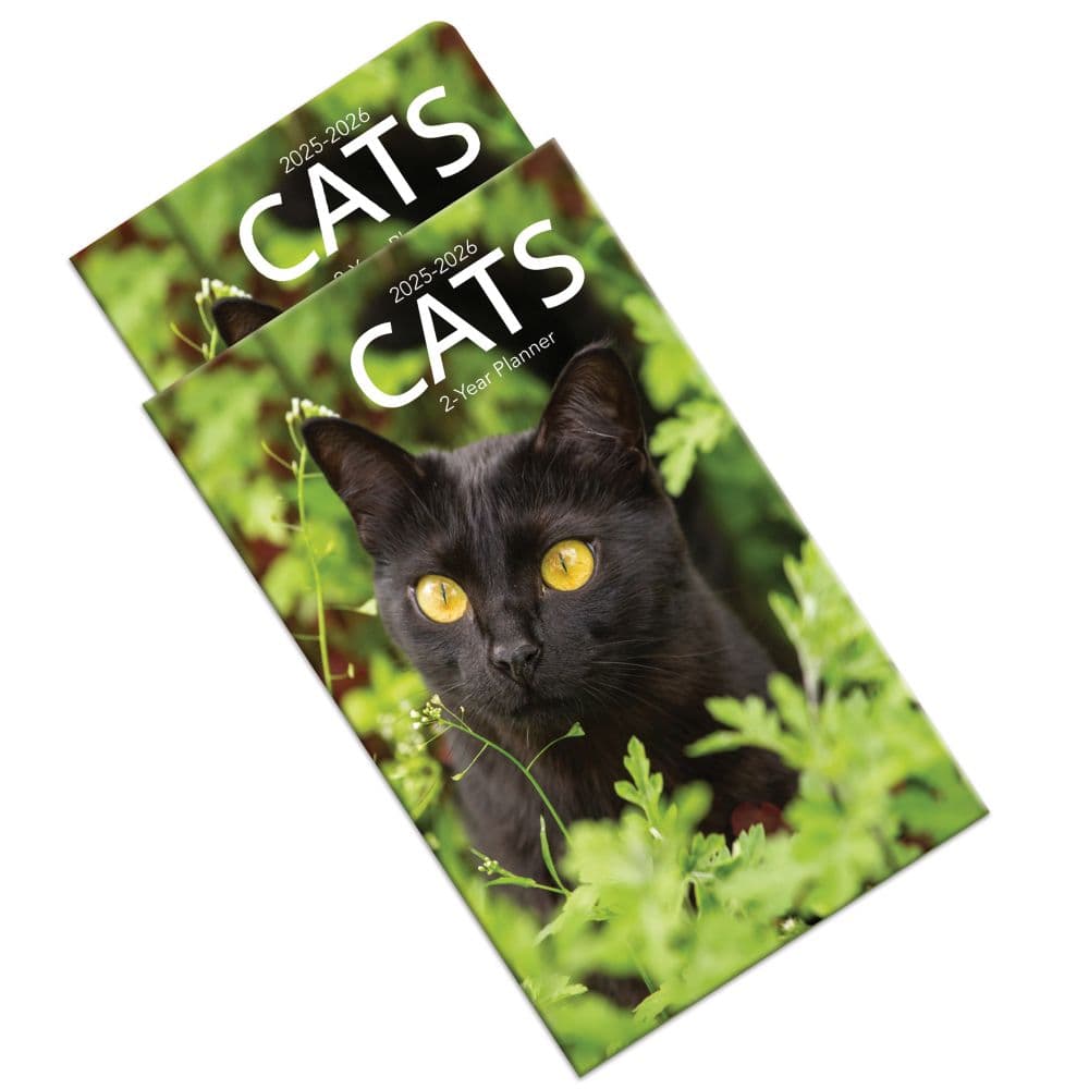 Cats 2 Year 2025 Pocket Planner Fifth Alternate Image width="1000" height="1000"