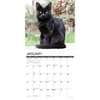 image Black Cats 2025 Wall Calendar Second Alternate Image width=&quot;1000&quot; height=&quot;1000&quot;