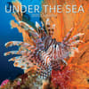 image Under the Sea 2025 Wall Calendar  Main Image