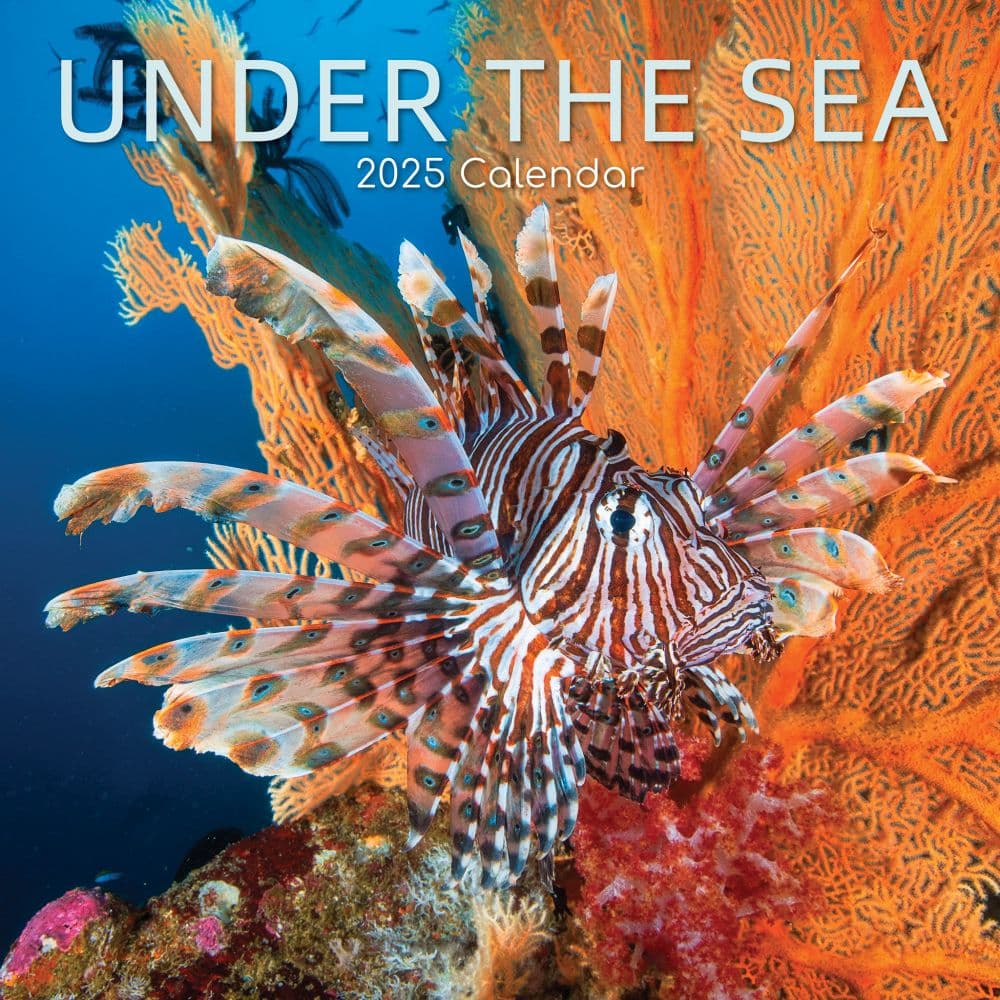 Under the Sea 2025 Wall Calendar  Main Image