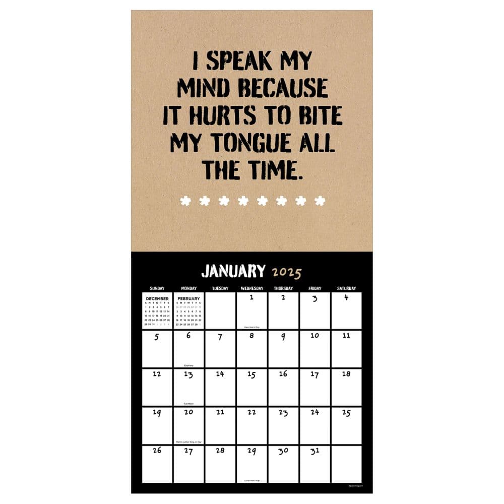 AntiAffirmations 2025 Wall Calendar