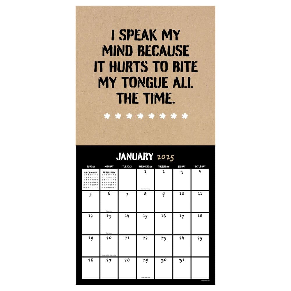 Anti-Affirmations 2025 Wall Calendar Second Alternate Image width=&quot;1000&quot; height=&quot;1000&quot;