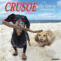 image Crusoe the Celebrity Dachshund 2026 Wall Calendar Main Image