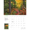 image Into the Woods Deluxe 2026 Wall Calendar Fourth Alternate Image