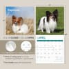 image Papillons 2025 Wall Calendar Seventh Alternate Image