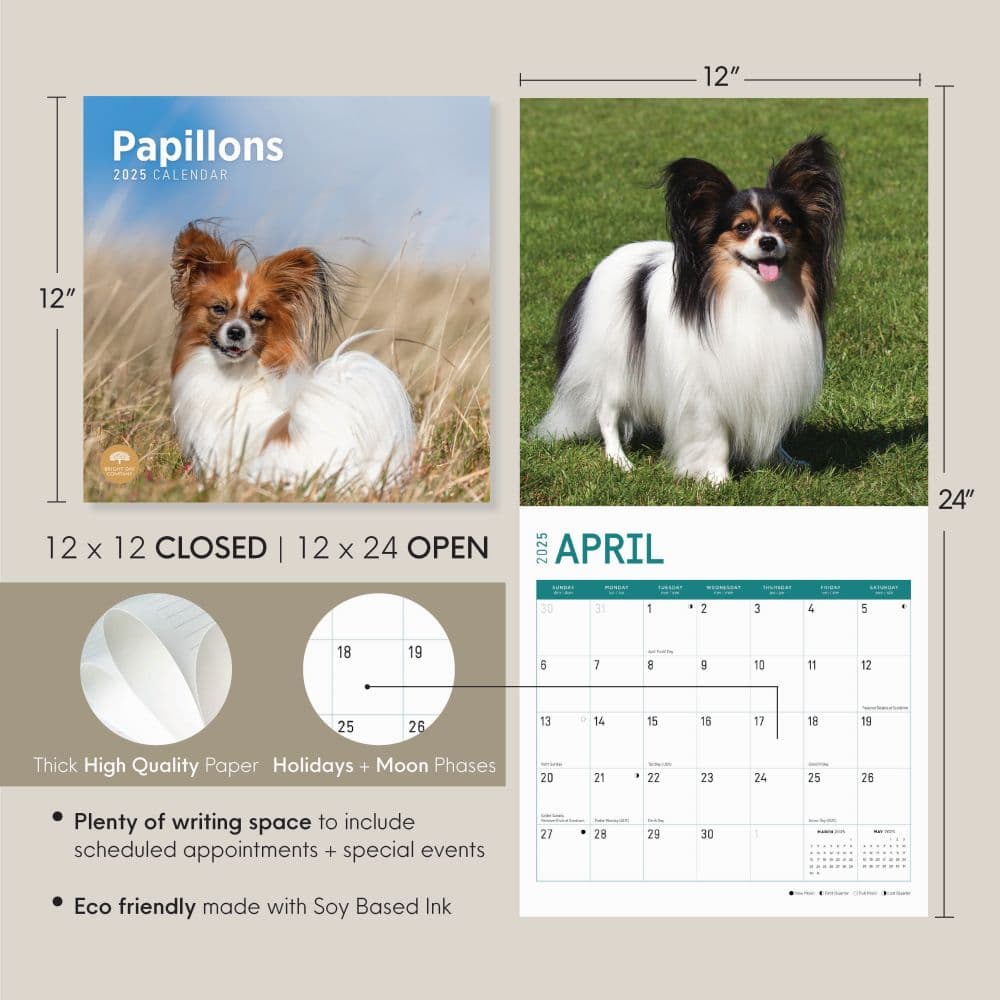 Papillons 2025 Wall Calendar Seventh Alternate Image