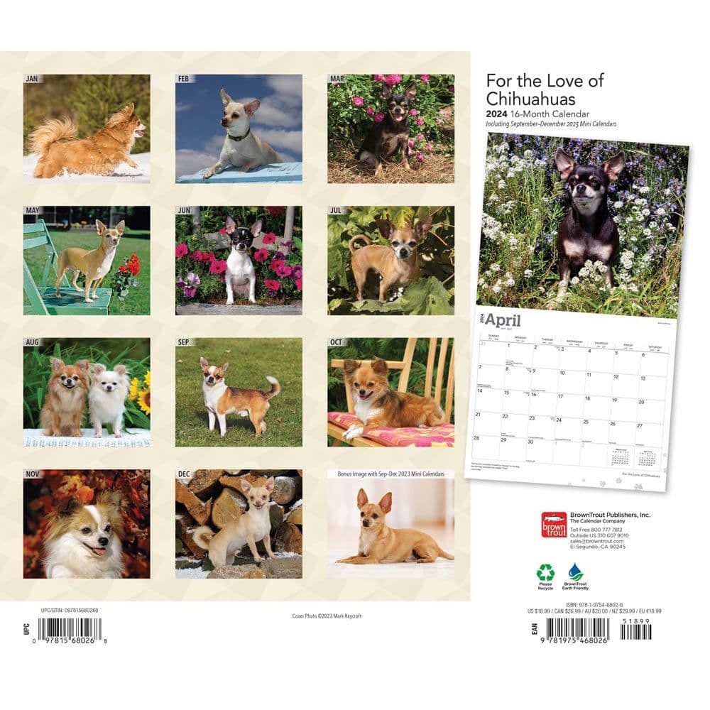 For the Love of Chihuahuas Deluxe 2024 Wall Calendar - Calendars.com