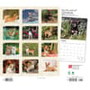 image For the Love of Chihuahuas Deluxe 2024 Wall Calendar First Alternate Image width=&quot;1000&quot; height=&quot;1000&quot;