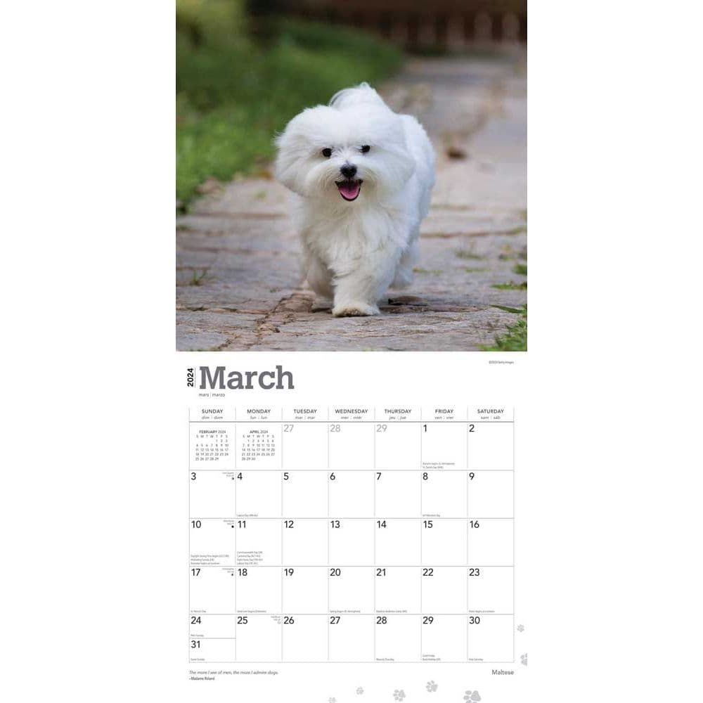 Maltese 2024 Wall Calendar