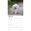 image Maltese 2024 Wall Calendar Second Alternate Image width=&quot;1000&quot; height=&quot;1000&quot;