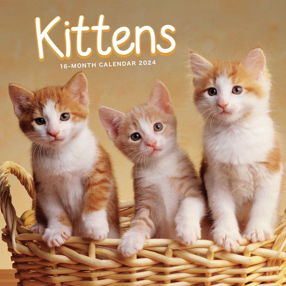 Kittens 2024 Mini Wall Calendar - Calendars.com