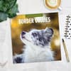 image Border Collies 2025 Wall Calendar Alt5