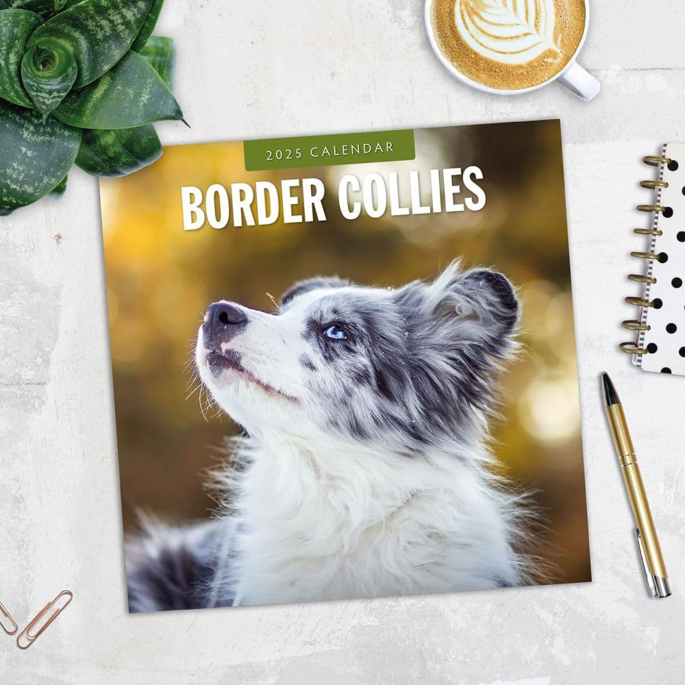 Border Collies 2025 Wall Calendar Alt5