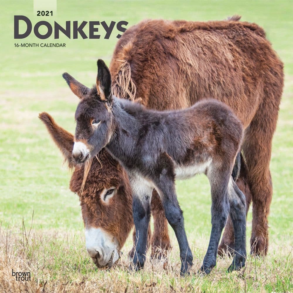 Donkeys Wall Calendar