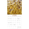 image Extremely Fowl 2026 Wall Calendar Fourth Alternate Image