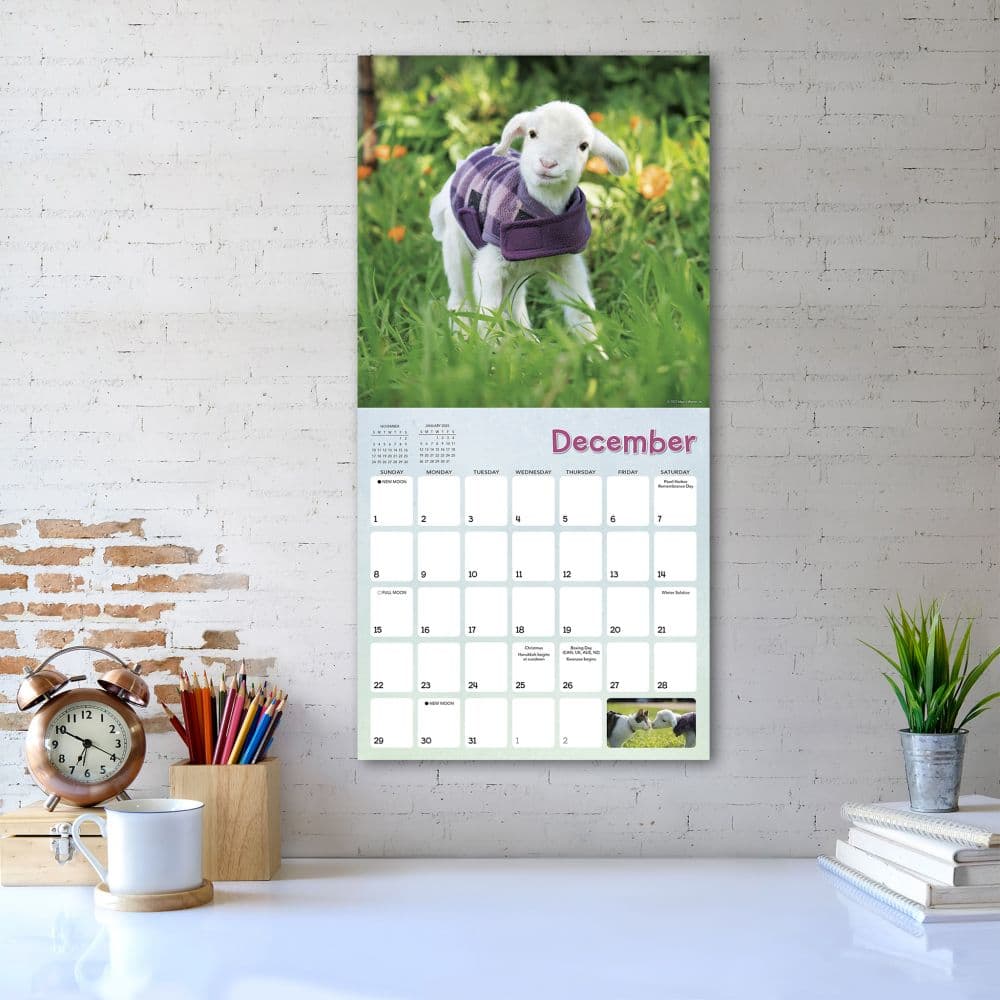 Lambies in Jammies 2024 Wall Calendar Alternate Image 5