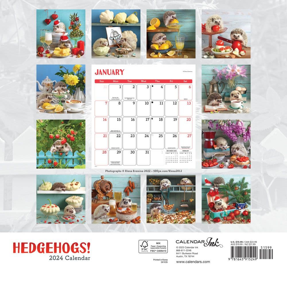 Hedgehogs! 2024 Wall Calendar