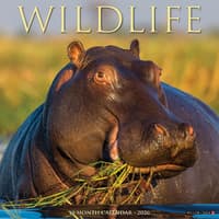 image Wildlife 2026 Wall Calendar Main Image