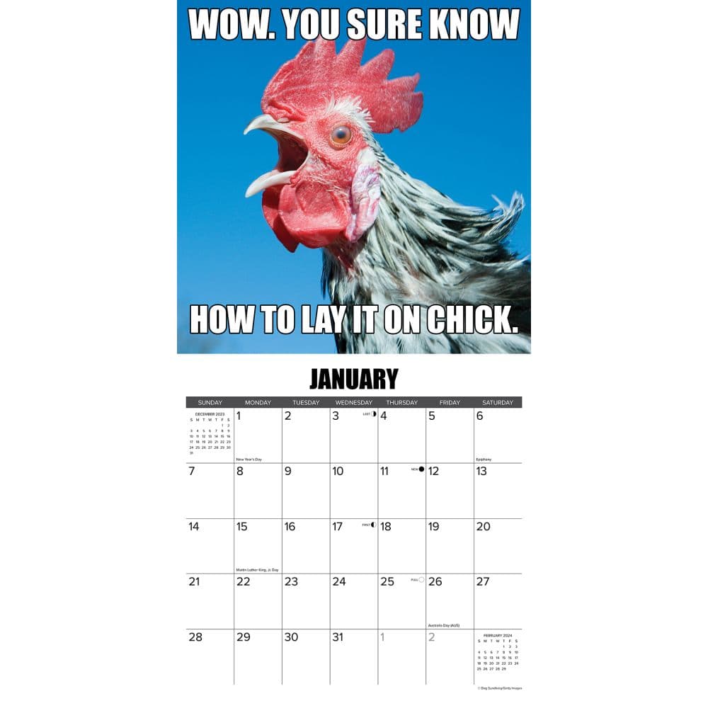 No Clucks Given 2025 Wall Calendar