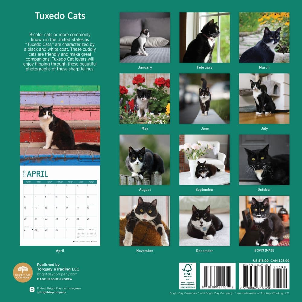 Tuxedo Cats 2025 Wall Calendar First Alternate Image width=&quot;1000&quot; height=&quot;1000&quot;