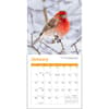 image Songbirds 2024 Mini Wall Calendar alternate 2