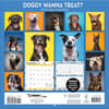 image Doggy Want A Treat 2024 Wall Calendar First Alternate  Image width=&quot;1000&quot; height=&quot;1000&quot;