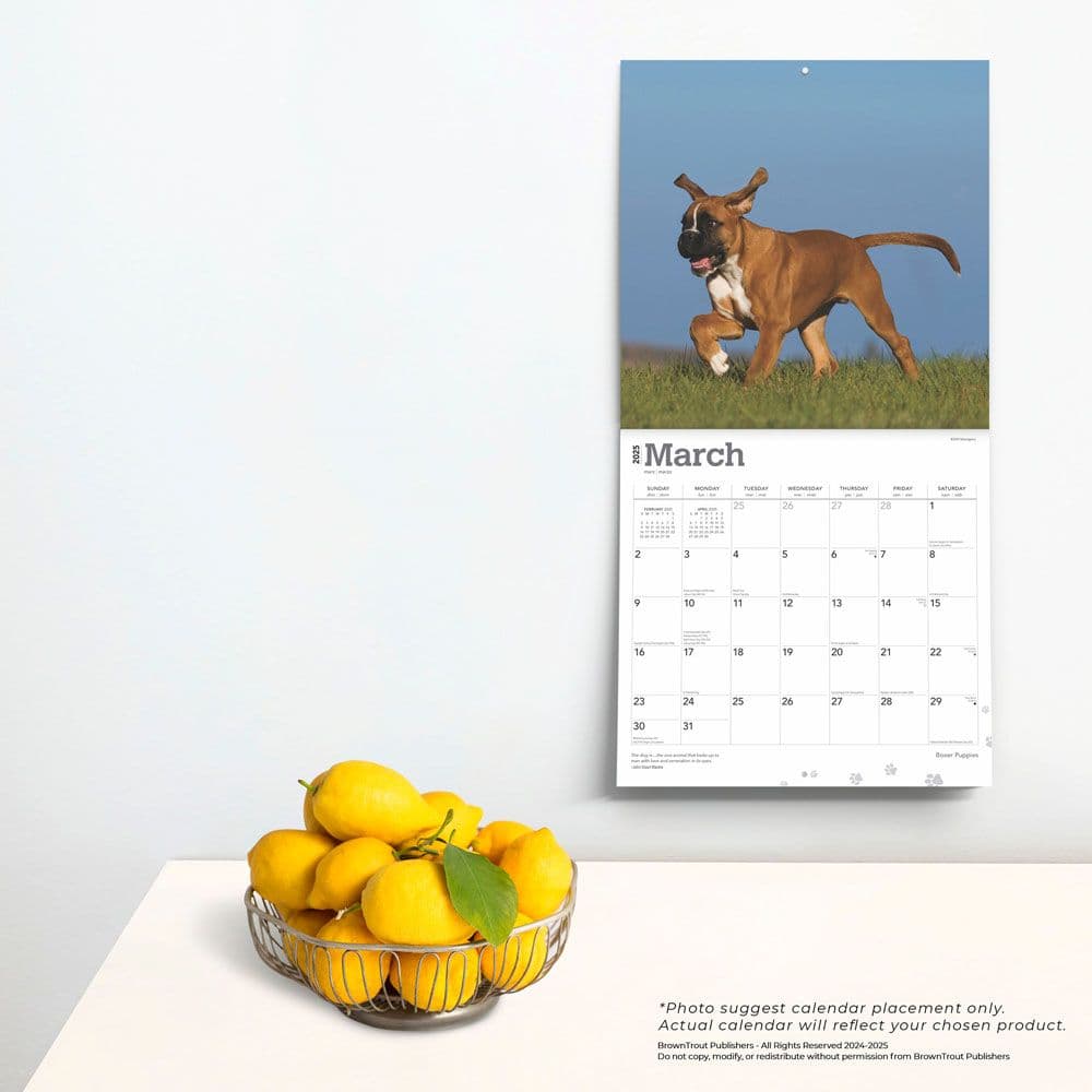 Boxer Puppies 2025 Wall Calendar Third Alternate Image width=&quot;1000&quot; height=&quot;1000&quot;