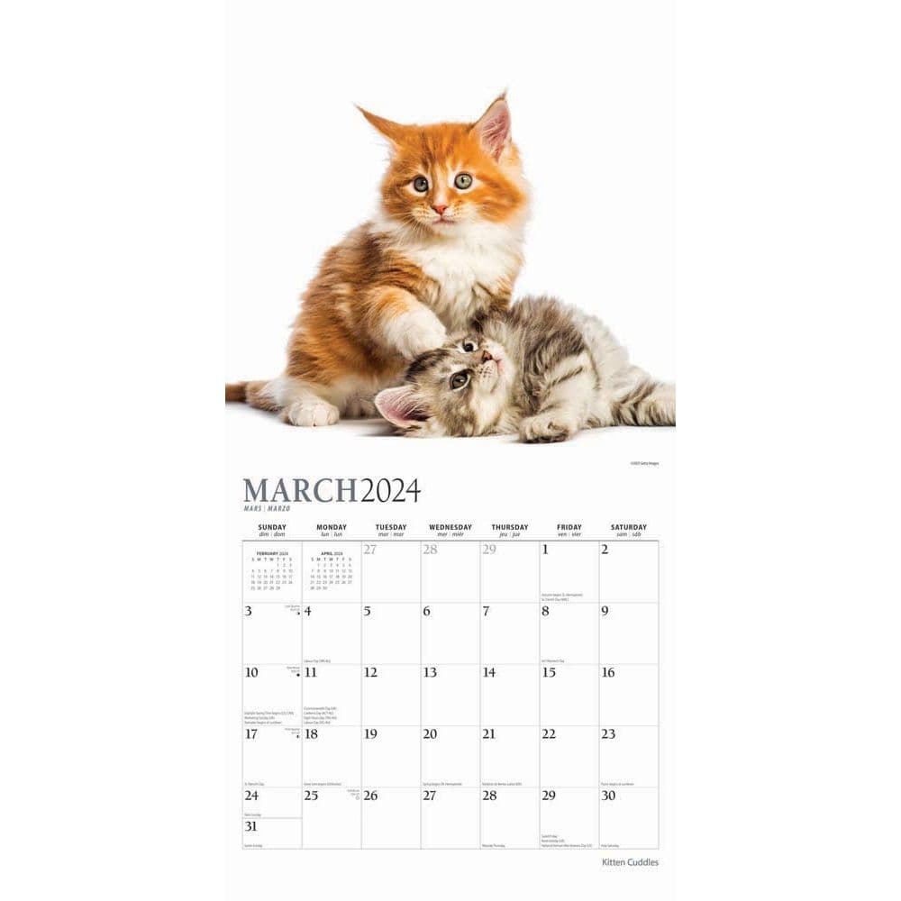 Kitten Cuddles 2024 Wall Calendar
