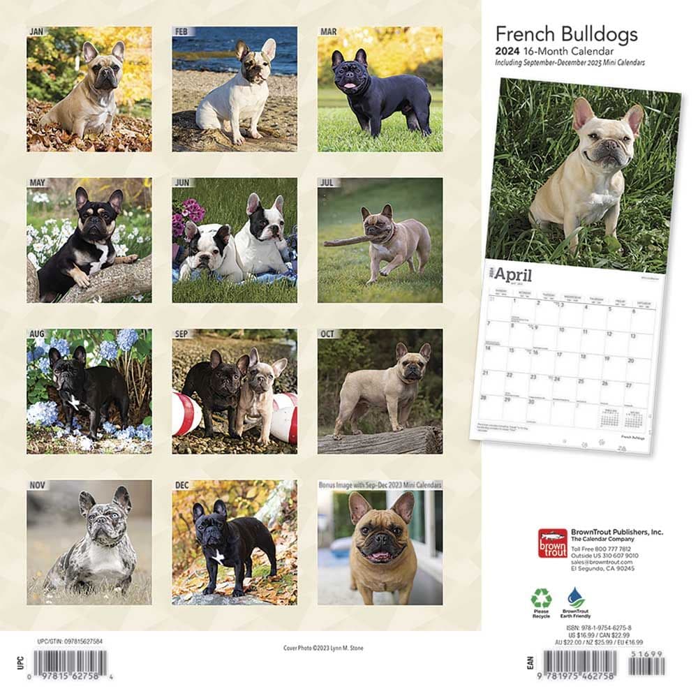 French Bulldogs 2024 Wall Calendar First Alternate Image width=&quot;1000&quot; height=&quot;1000&quot;