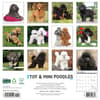 image Miniature Toy Poodles 2025 Wall Calendar