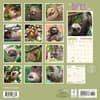 image Sloth Life 2025 Wall Calendar First Alternate Image width="1000" height="1000"