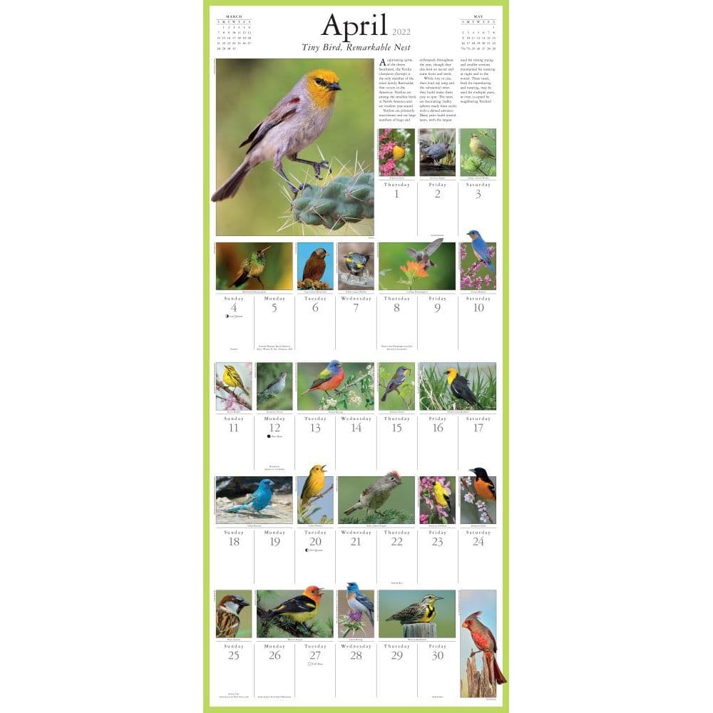 Audubon Songbirds And Other Backyard Birds 2022 Picture-A-Day Wall Calendar - Calendars.com