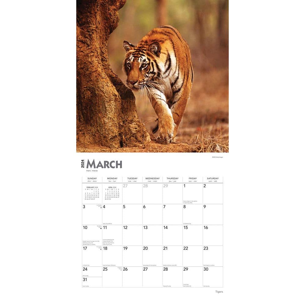 Tigers 2024 Wall Calendar