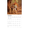 image Tigers 2024 Wall Calendar Second Alternate Image width=&quot;1000&quot; height=&quot;1000&quot;
