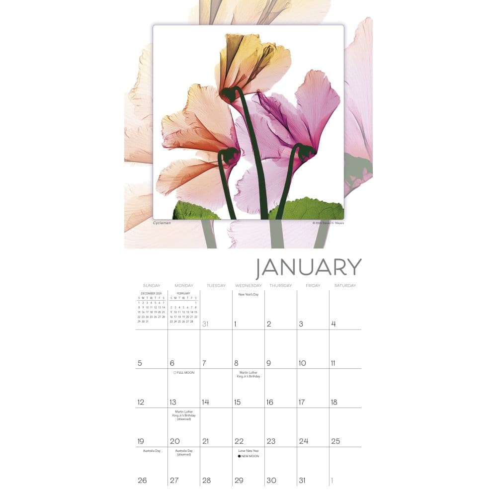 Flower Spirits 2025 Mini Wall Calendar