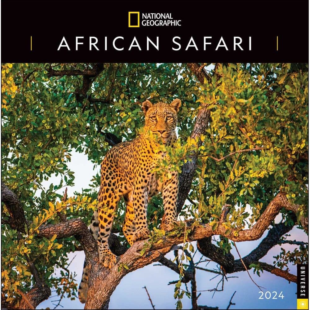 NatGeo African Safari 2024 Wall Calendar