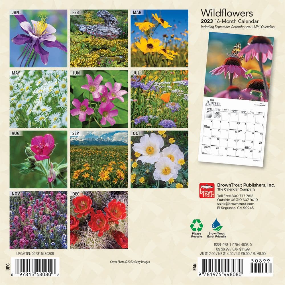 Wildflowers 2023 Mini Wall Calendar - Calendars.com