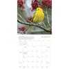 image Songbirds 2025 Wall Calendar Second Alternate Image width=&quot;1000&quot; height=&quot;1000&quot;