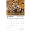 image Tigers WWF 2026 Wall Calendar Second Alternate Image