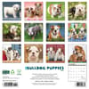 image Just Bulldog Puppies 2025 Wall Calendar First Alternate Image width="1000" height="1000"